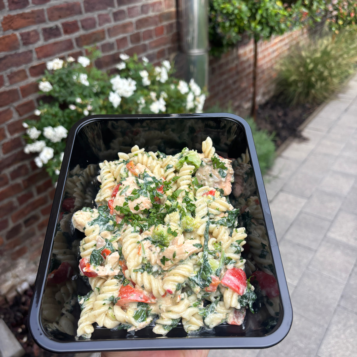 Creamy Garlic Salmon Pasta